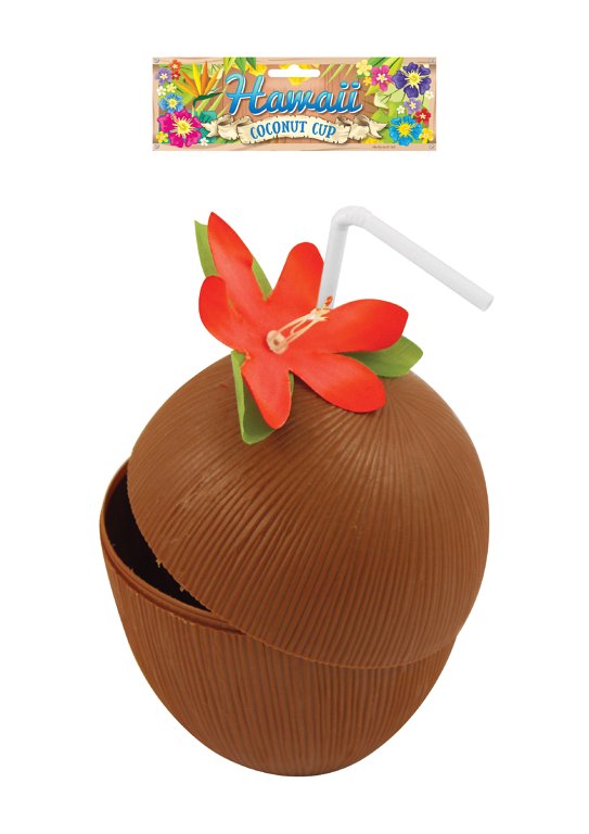 Coconut Cup with Flower and Straw (Assorted Colours)
