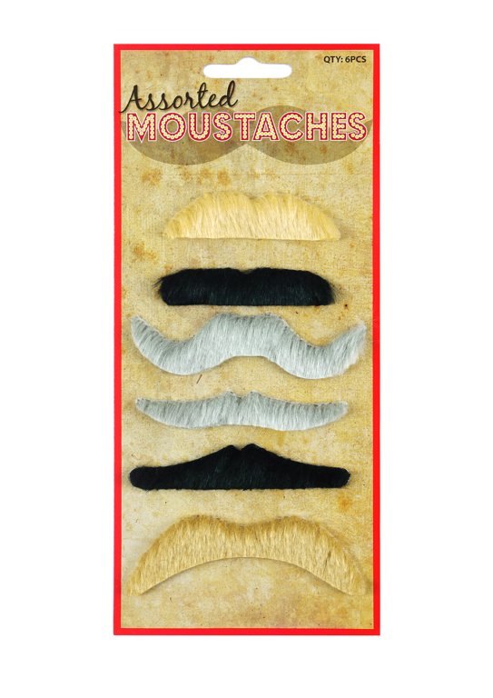 Assorted Moustaches Set (6 Assorted Styles and Colours)