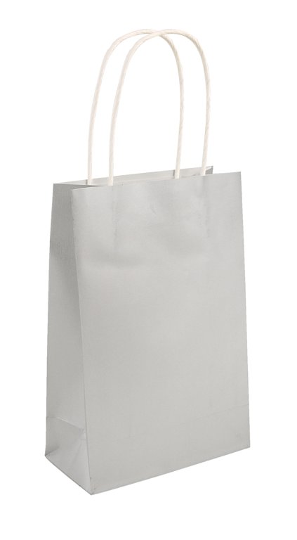 Silver Paper Party Bag with Handles