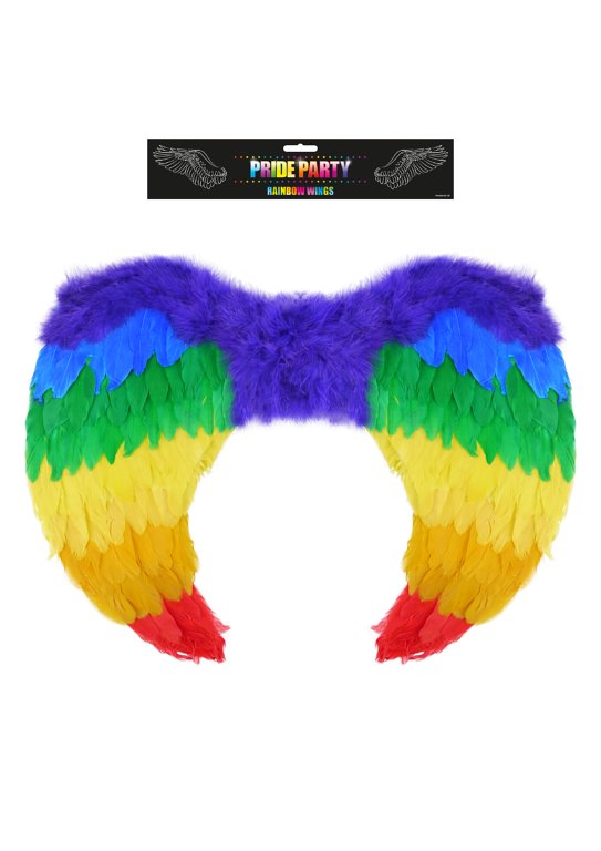 Rainbow Pride Wings (60x40cm)