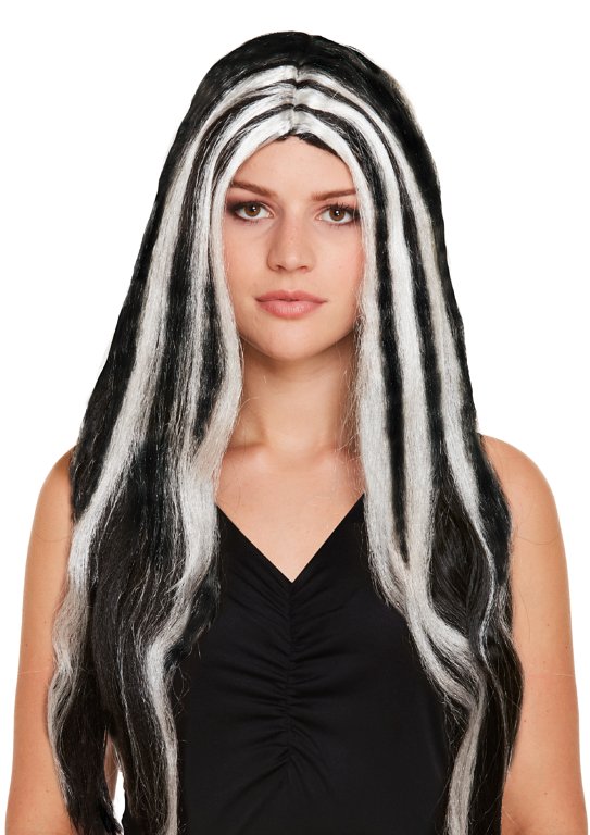 Long Black and White Witch Wig (65cm / 150g)