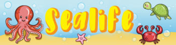 Sea Life