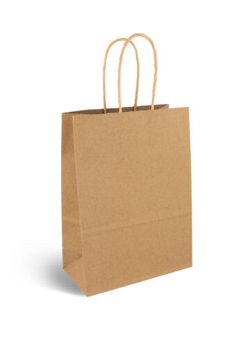 Kraft Brown Paper Party Bag with Matching Handles (16 x 22 x 8cm)